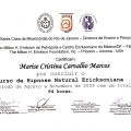 Ampliar imagem: certificate 11