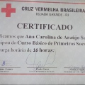 Ampliar imagem: certificate 2