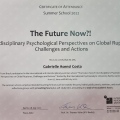 Ampliar imagem: certificate 4