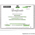 Ampliar imagem: certificate 5