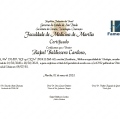 Ampliar imagem: certificate 4