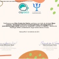 Ampliar imagem: certificate 31