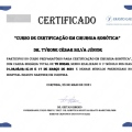 Ampliar imagem: certificate 3
