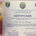 Ampliar imagem: certificate 5