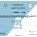 Ampliar imagem: certificate 1