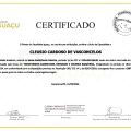 Ampliar imagem: certificate 1