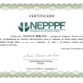 Ampliar imagem: certificate 6