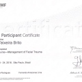 Ampliar imagem: certificate 7