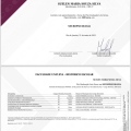 Ampliar imagem: certificate 7