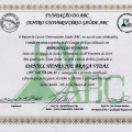 Ampliar imagem: certificate 8