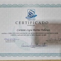 Ampliar imagem: certificate 1