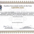 Ampliar imagem: certificate 4