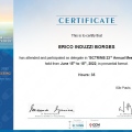 Ampliar imagem: certificate 1
