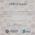 Ampliar imagem: certificate 5