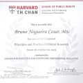 Ampliar imagem: certificate 5