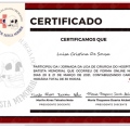 Ampliar imagem: certificate 8