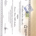Ampliar imagem: certificate 4