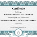 Ampliar imagem: certificate 10