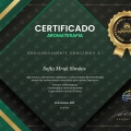 Ampliar imagem: certificate 3