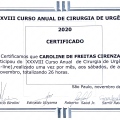 Ampliar imagem: certificate 10