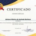 Ampliar imagem: certificate 4