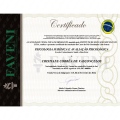 Ampliar imagem: certificate 2