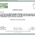 Ampliar imagem: certificate 8