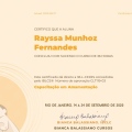 Ampliar imagem: certificate 3