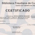 Ampliar imagem: certificate 4