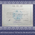 Ampliar imagem: certificate 8