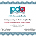 Ampliar imagem: certificate 1