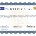 Ampliar imagem: certificate 4