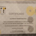 Ampliar imagem: certificate 2