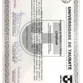 Ampliar imagem: certificate 4