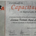 Ampliar imagem: certificate 6