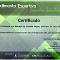 Ampliar imagem: certificate 1