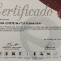Ampliar imagem: certificate 11