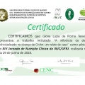 Ampliar imagem: certificate 5