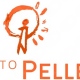 Instituto Pelletier