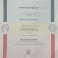 Ampliar imagem: certificate 2