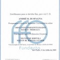 Ampliar imagem: certificate 3