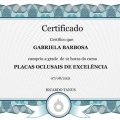 Ampliar imagem: certificate 3