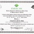 Ampliar imagem: certificate 2