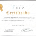 Ampliar imagem: certificate 9