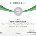 Ampliar imagem: certificate 5