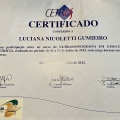 Ampliar imagem: certificate 7