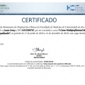 Ampliar imagem: certificate 1