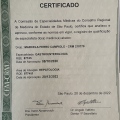 Ampliar imagem: certificate 2
