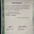 Ampliar imagem: certificate 2