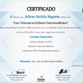 Ampliar imagem: certificate 2